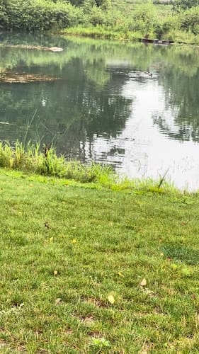 Fish Hatchery Park-tennis court