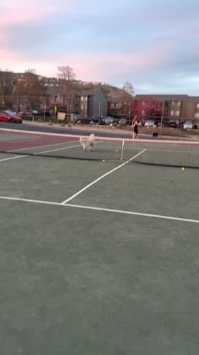 Tennis Courts at Hatch Park