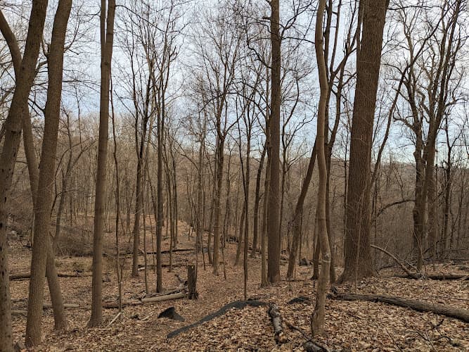Hillside Park photo 1