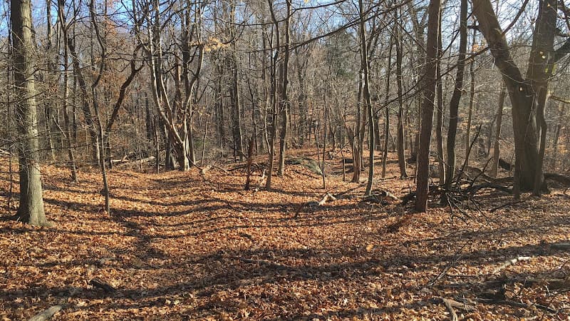Juhring Nature Preserve
