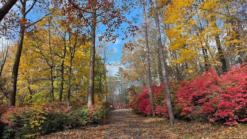 Mittineague Park