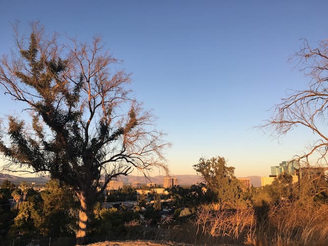 Shoup Park Summit