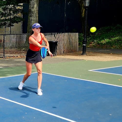 Riverside Park Pickleball Courts