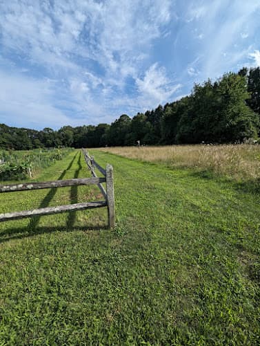 Bauer Park