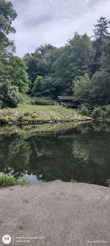 Chatfield Park