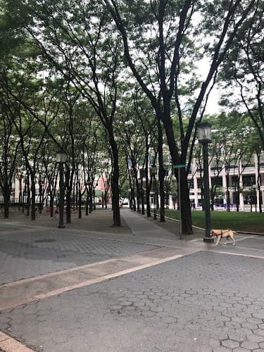 Brooklyn Commons