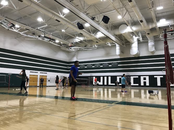 Towsontowne Community Badminton