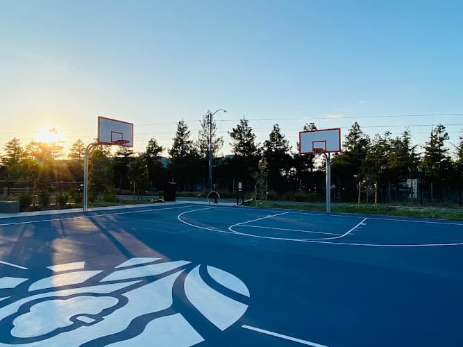 Basketball Court
