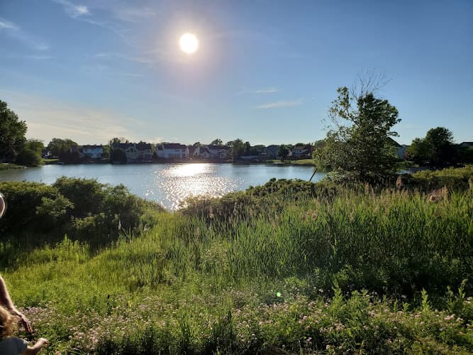 Willow Ridge Park
