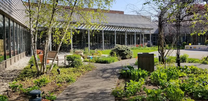 Levy Senior Center