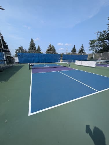 Pickleball Court