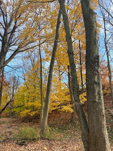 Coytesville Park