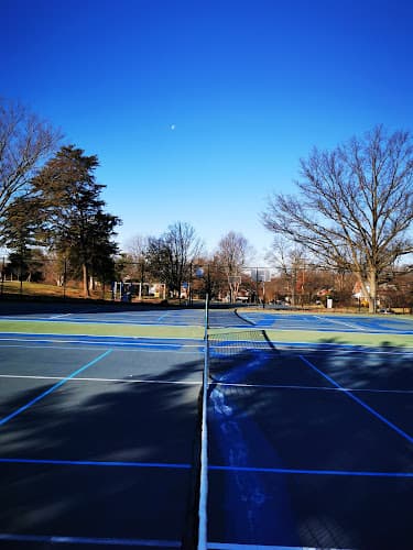 Argyle Local Park