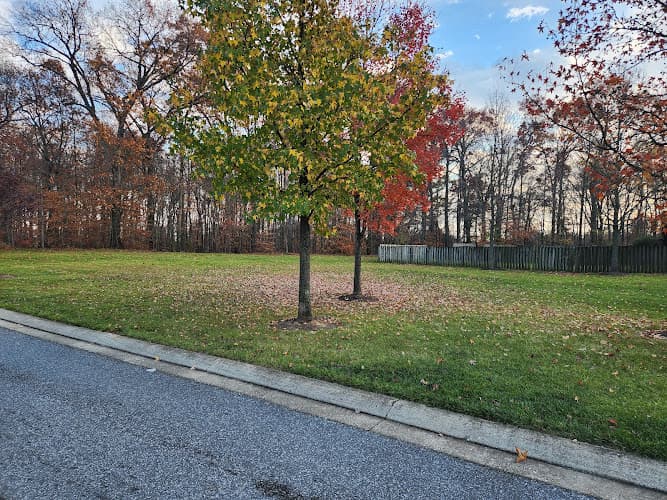 Kings Court Park