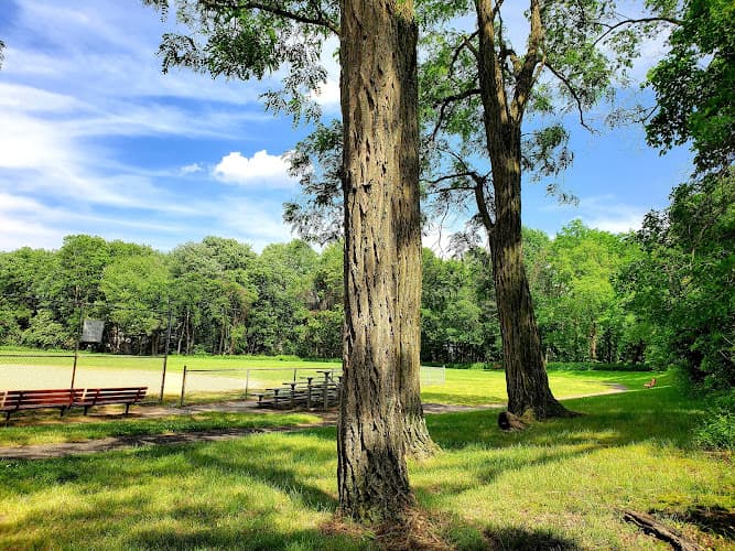 Dorsett Park