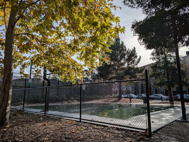 Basketball Court