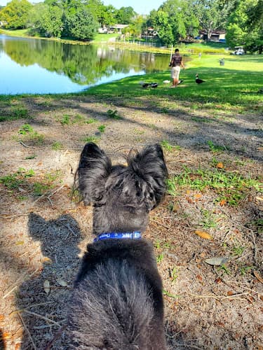Frank W. Turner Park