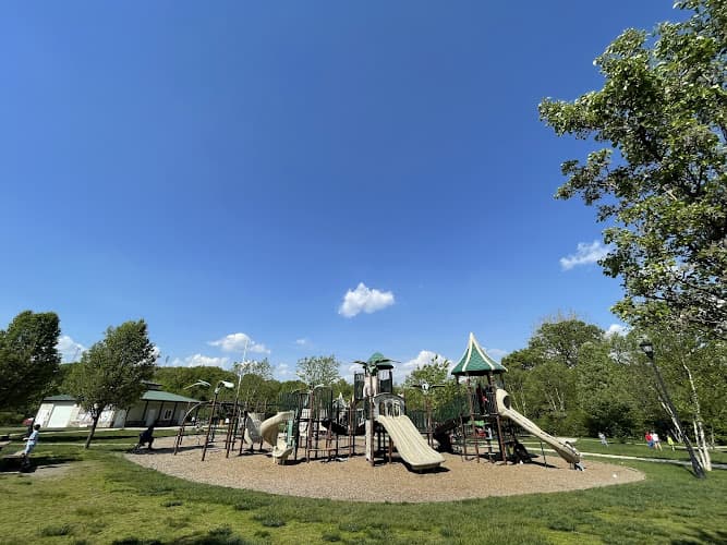 Community Field