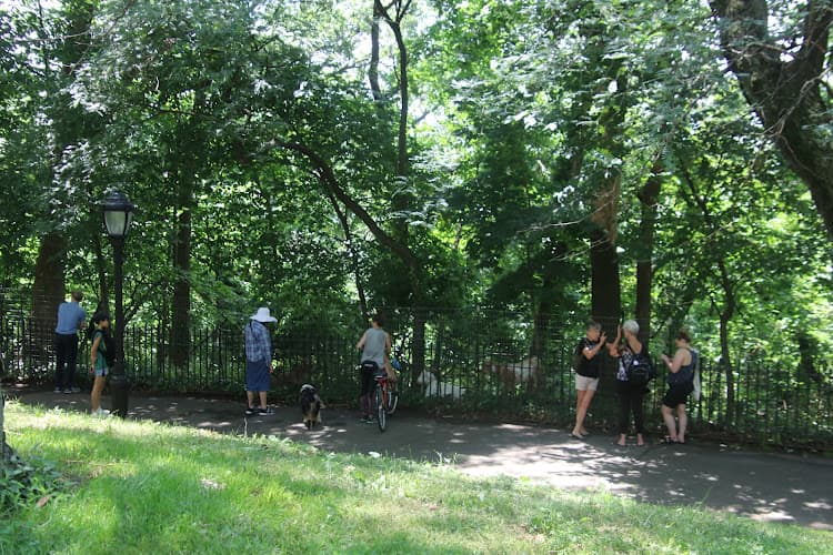 Tennis Innovators Riverside Park