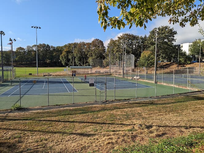 Rainier Playfield