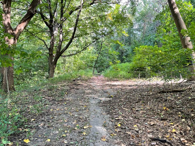Raoul Wallenberg Forest