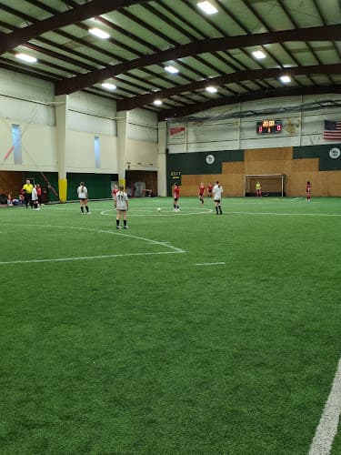 Cecil Arena