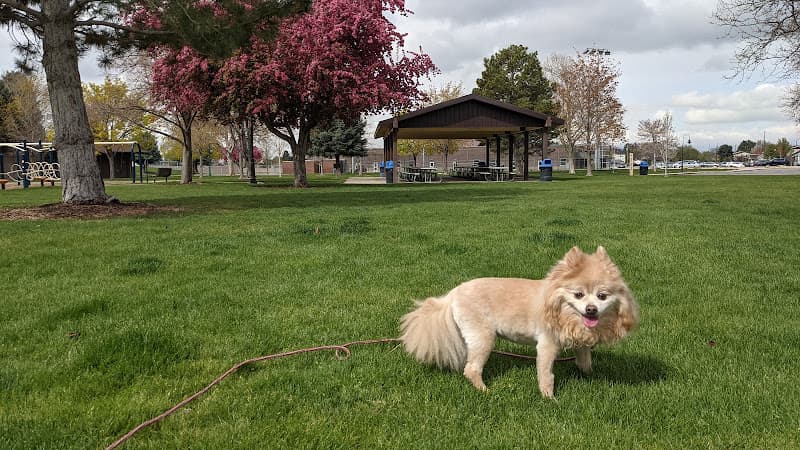 Cascade Park