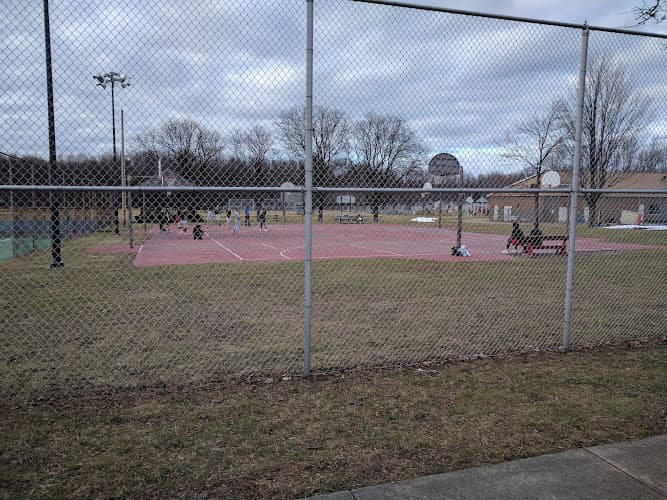 Hanlon Pool & Ellis Field Park