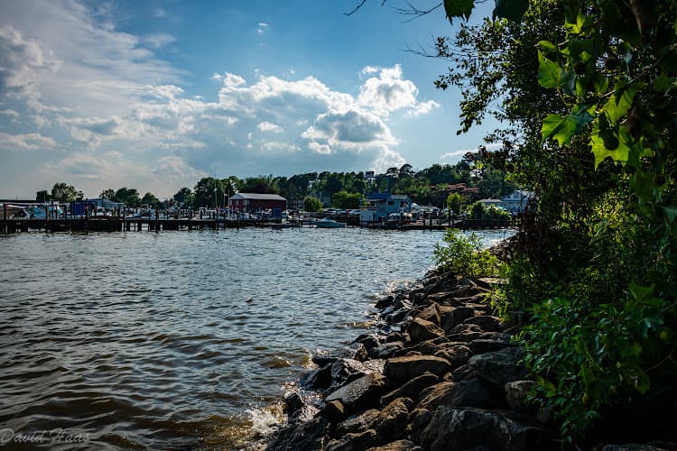 Avalon Park & Stage in Charlestown